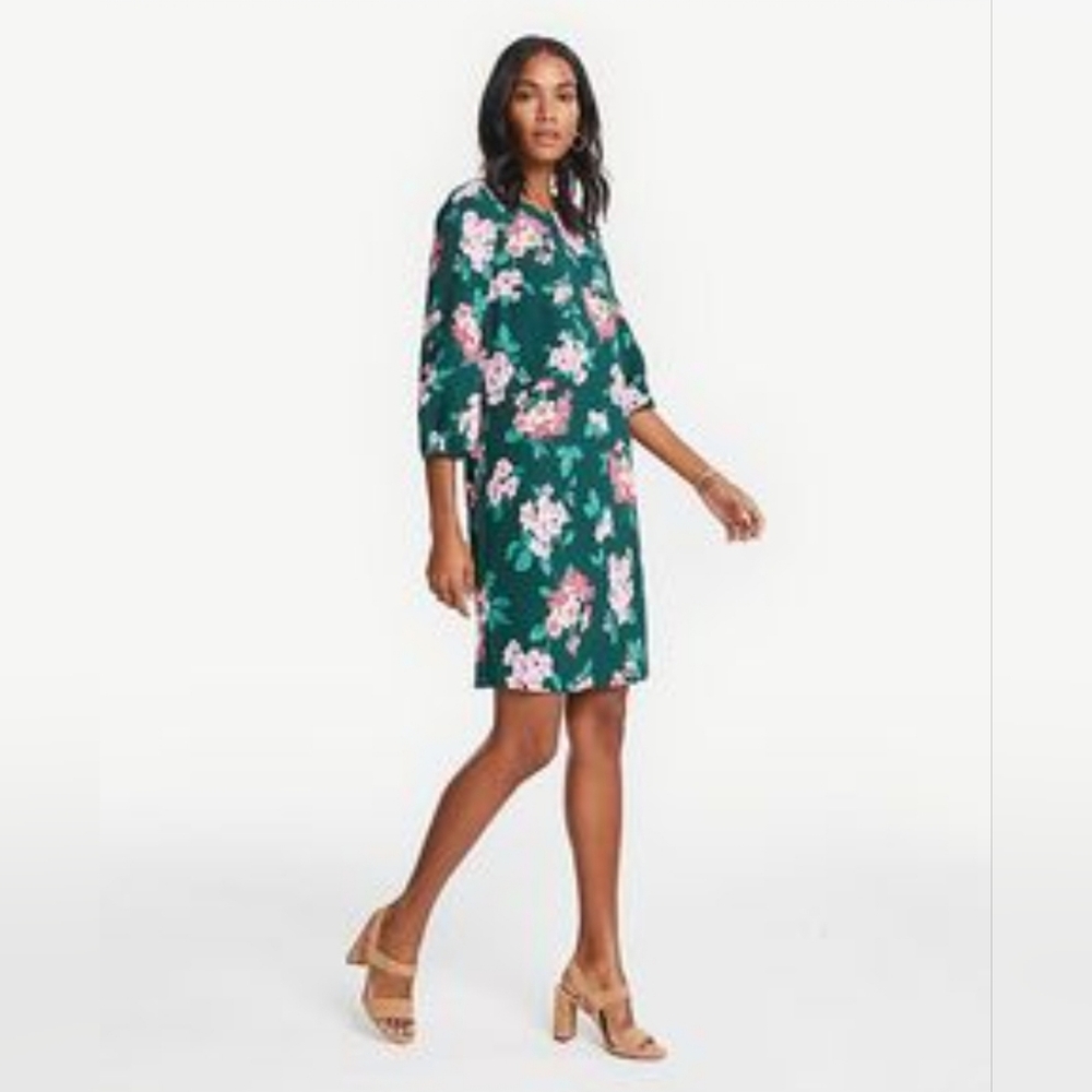 Ann Taylor Dress
